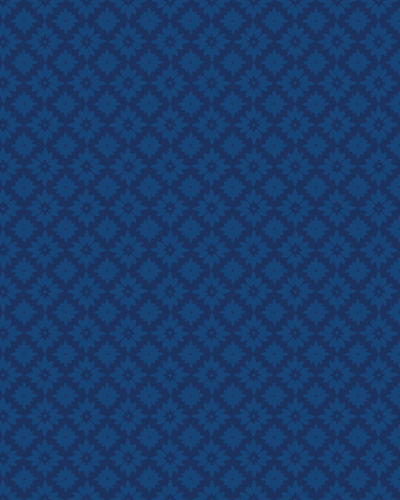 Bootcamp Data Science